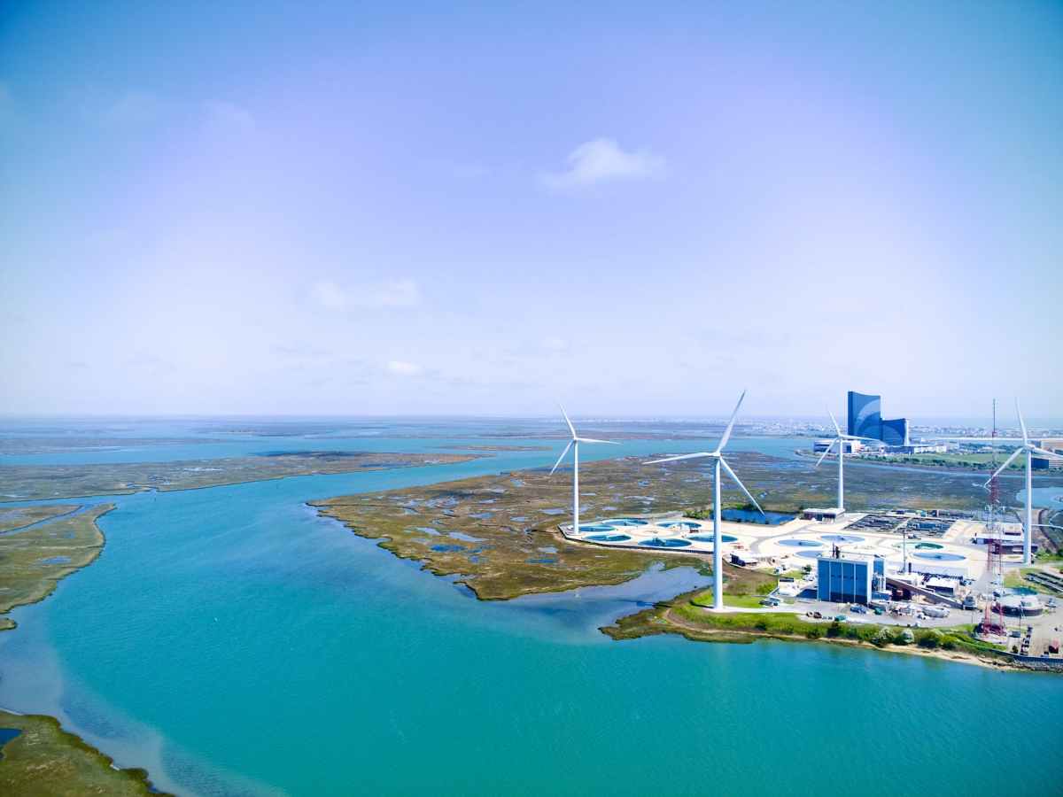 年最大風速の変動係数