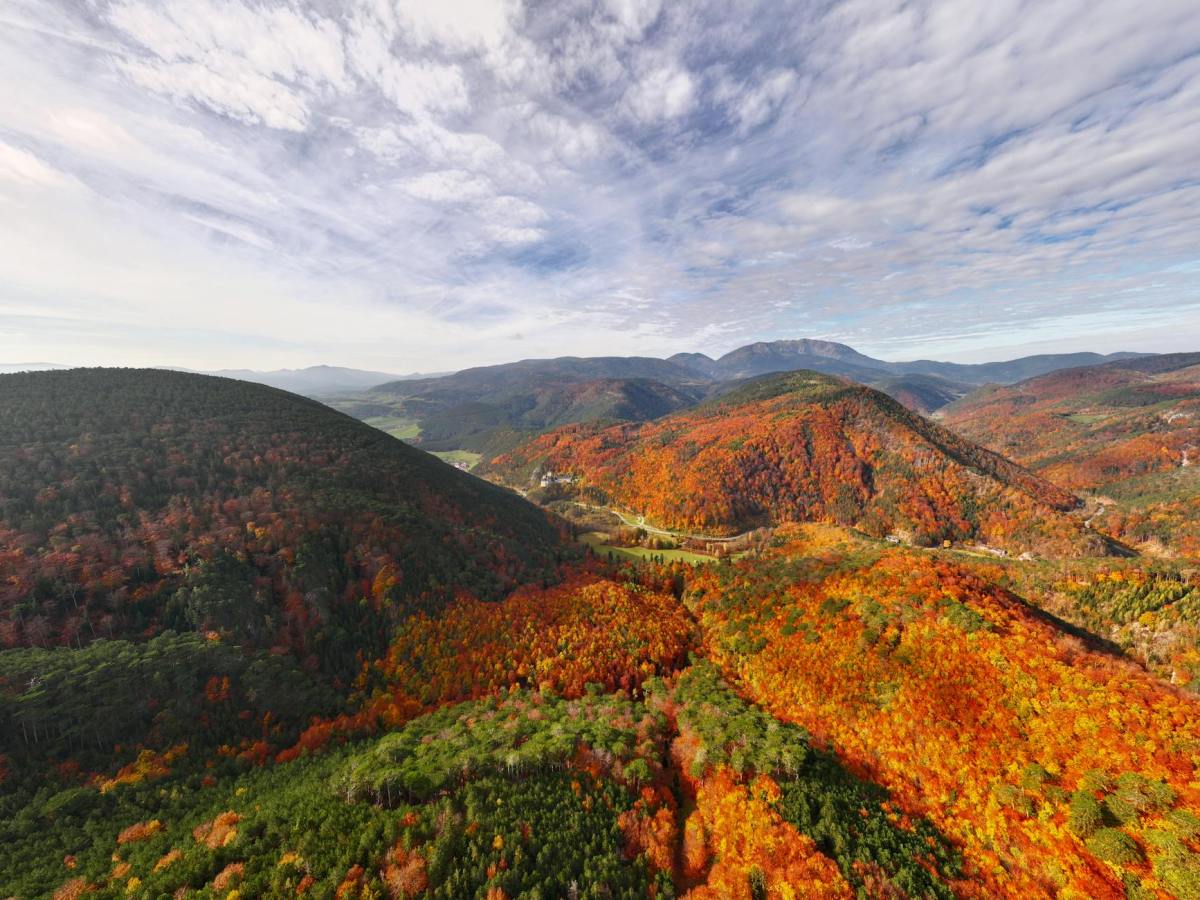 風況の現地調査