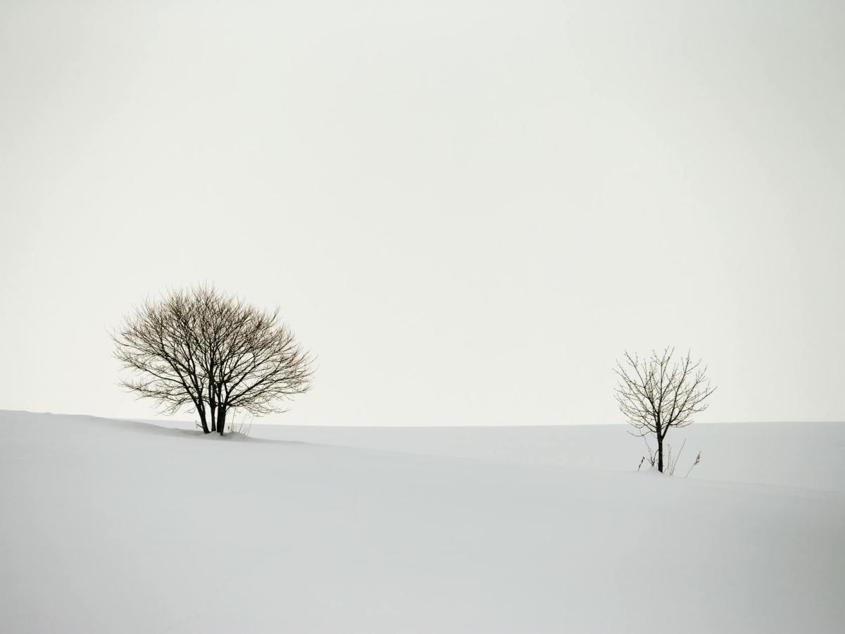 凍結時の風況観測データ処理