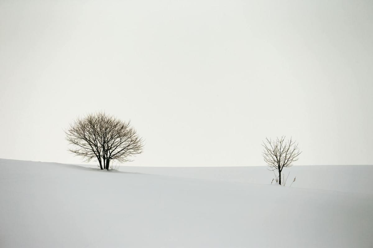 凍結時の風況観測データ処理